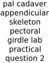 Pal Cadaver Appendicular Skeleton Pectoral Girdle Lab Practical Question 2