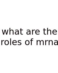 What Are The Roles Of Mrna