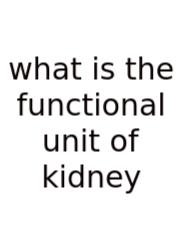 What Is The Functional Unit Of Kidney