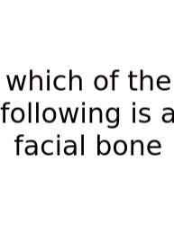 Which Of The Following Is A Facial Bone